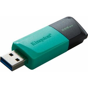 Pendrive Kingston DataTraveler Exodia M 256GB fekete-türkizkék