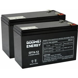 Szünetmentes táp akkumulátor GOOWEI RBC124