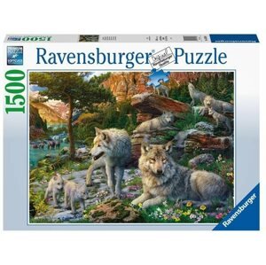 Puzzle Ravensburger 165988 Tavaszi farkasok 1500 darab