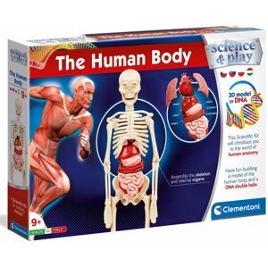 Kísérletezős játék Emberi test