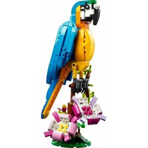 LEGO LEGO® Creator 3-in-1 Egzotikus papagáj 31136