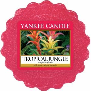Illatviasz YANKEE CANDLE Tropical Jungle 22 g