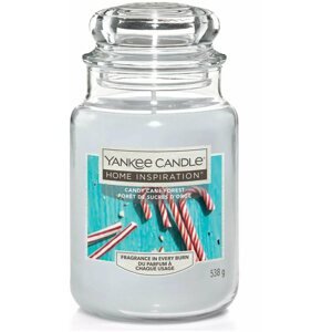 Gyertya YANKEE CANDLE Home Inspiration Cane Forest 538 g