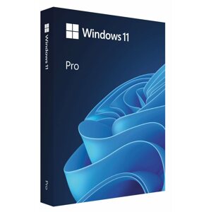 Operációs rendszer Microsoft Windows 11 PRO, EN, USB (FPP)