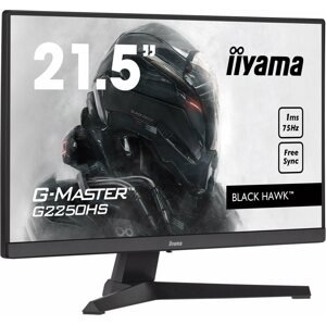 LCD monitor 21.5" iiyama G-Master G2250HS-B1