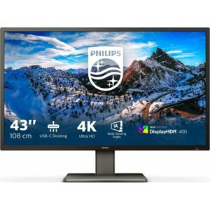 LCD monitor 43" Philips 439P1